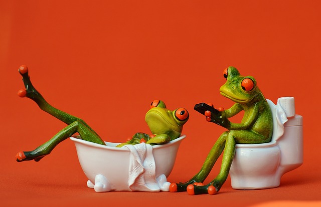 žaby na toalete